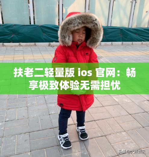 扶老二轻量版 ios 官网:畅享极致体验无需担忧 扶老二轻量版 ios 官网:畅享极致体验无需担忧