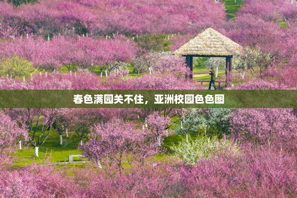 春色满园关不住,亚洲校园色色图 春色满园关不住,亚洲校园色色图