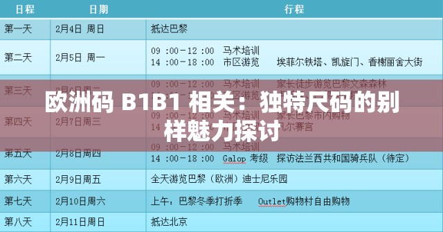 欧洲码 B1B1 相关:独特尺码的别样魅力探讨 欧洲码 B1B1 相关:独特尺码的别样魅力探讨