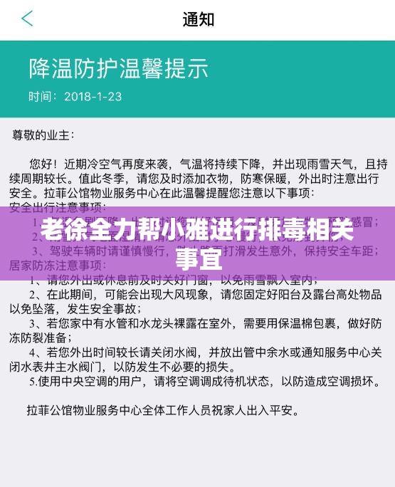 老徐全力帮小雅进行排蝳相关事宜