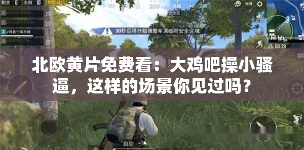 北欧黄 片免费看：大鸡吧操小骚逼，这样的场景你见过吗？