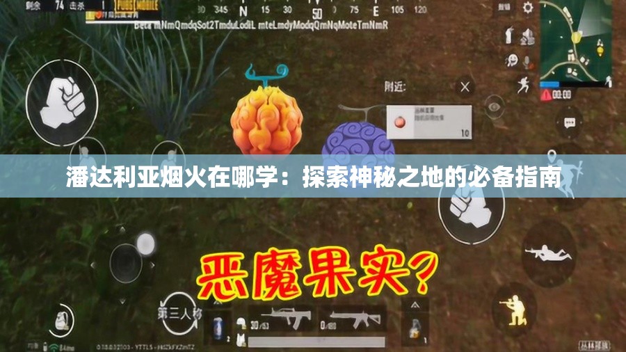 潘达利亚烟火在哪学:探索神秘之地的必备指南 潘达利亚烟火在哪学:探索神秘之地的必备指南