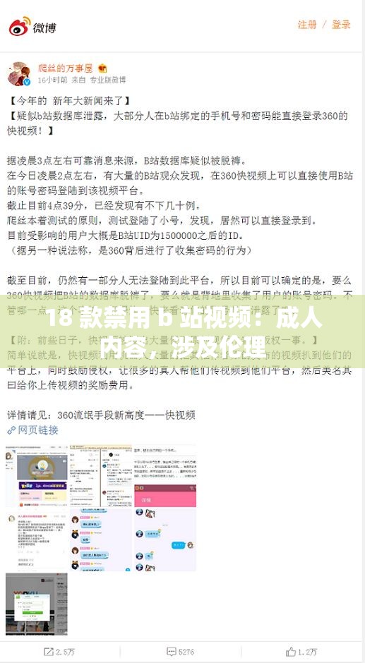 18 款禁用 b 站视频：成年人内容，涉及伦理