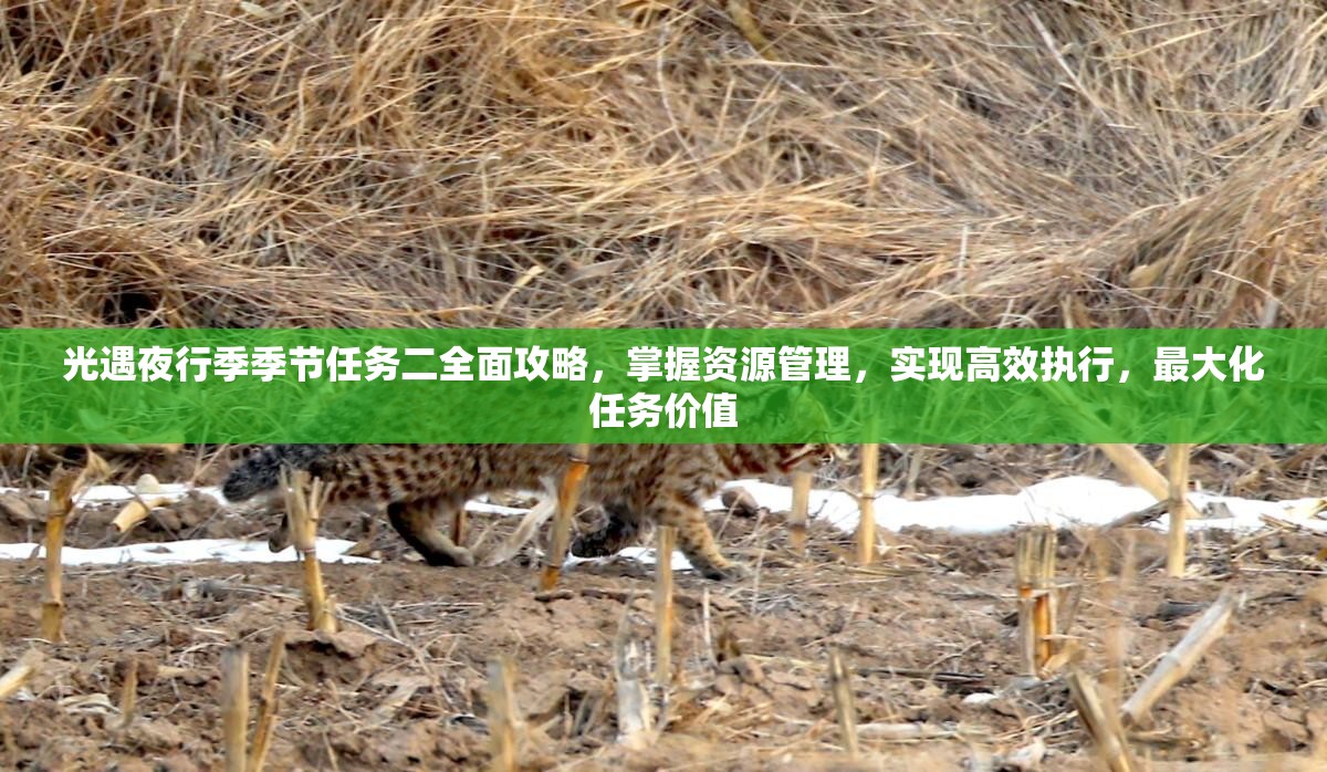 光遇夜行季季节任务二全面攻略,掌握资源管理,实现高效执行,最大化任务价值 光遇夜行季季节任务二全面攻略,掌握资源管理,实现高效执行,最大化任务价值