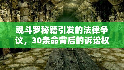 魂斗罗秘籍引发的法律争议,30条命背后的诉讼权利与复杂法律风云 魂斗罗秘籍引发的法律争议,30条命背后的诉讼权利与复杂法律风云
