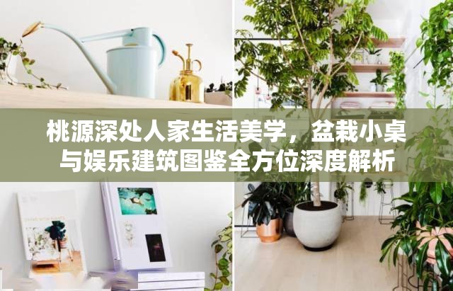 桃源深处人家生活美学,盆栽小桌与娱乐建筑图鉴全方位深度解析 桃源深处人家生活美学,盆栽小桌与娱乐建筑图鉴全方位深度解析
