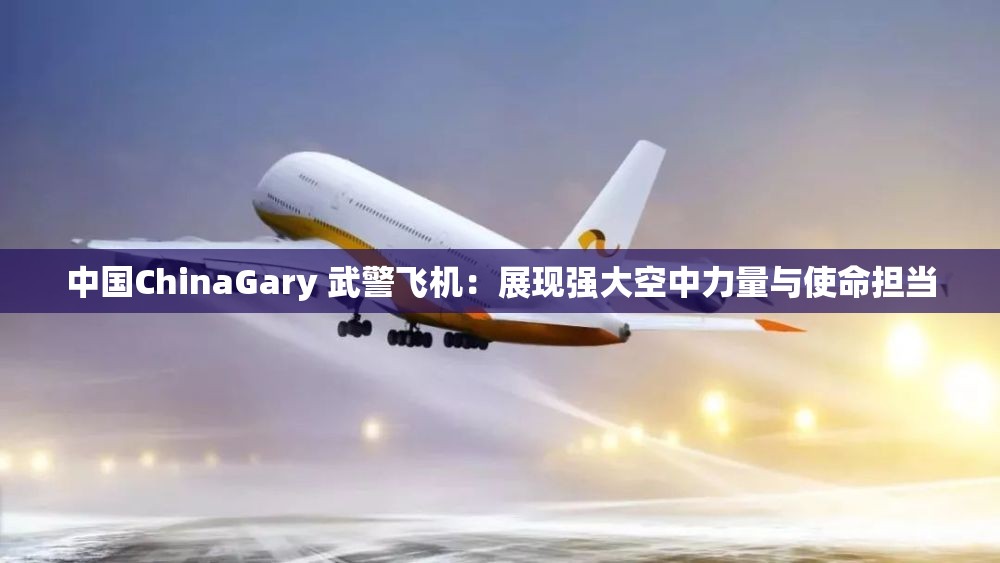 中国ChinaGary 武警飞机:展现强大空中力量与使命担当 中国ChinaGary 武警飞机:展现强大空中力量与使命担当