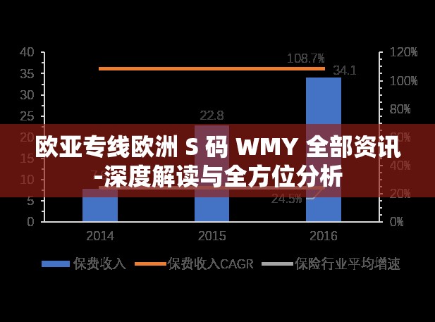 欧亚专线欧洲 S 码 WMY 全部资讯-深度解读与全方位分析 欧亚专线欧洲 S 码 WMY 全部资讯-深度解读与全方位分析