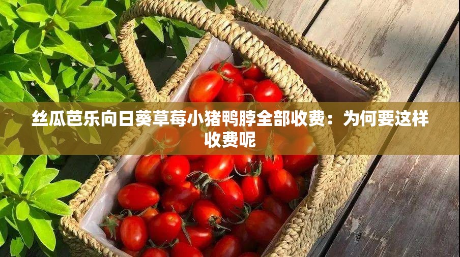 丝瓜芭乐向日葵草莓小猪鸭脖全部收费:为何要这样收费呢 丝瓜芭乐向日葵草莓小猪鸭脖全部收费:为何要这样收费呢