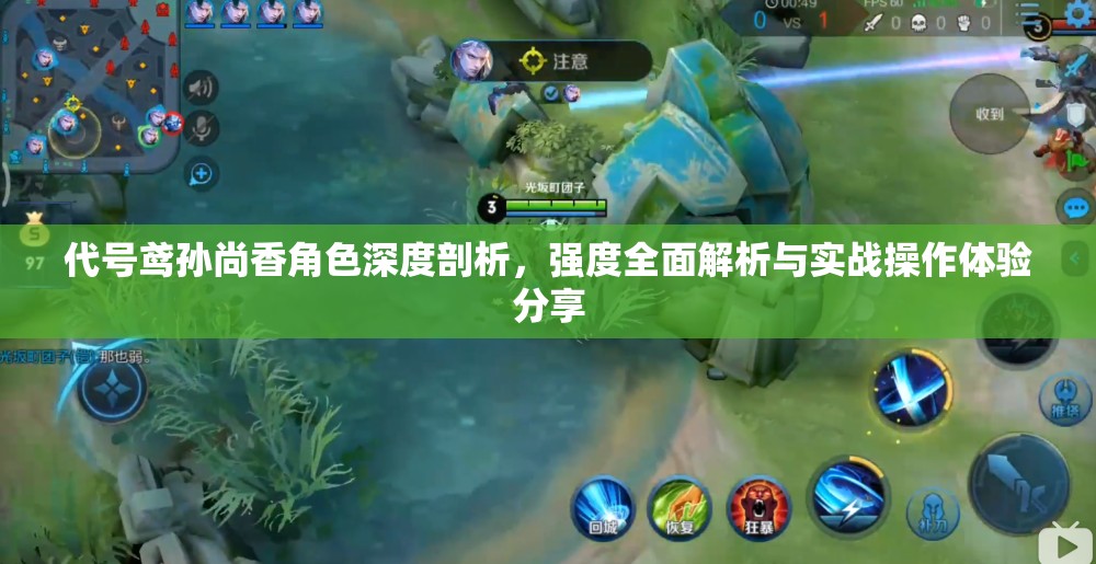 代号鸢孙尚香角色深度剖析,强度全面解析与实战操作体验分享 代号鸢孙尚香角色深度剖析,强度全面解析与实战操作体验分享