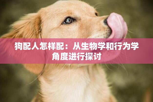 狗配人怎样配:从生物学和行为学角度进行探讨 狗配人怎样配:从生物学和行为学角度进行探讨