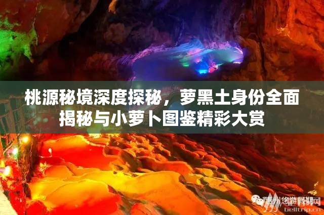 桃源秘境深度探秘,萝黑土身份全面揭秘与小萝卜图鉴精彩大赏 桃源秘境深度探秘,萝黑土身份全面揭秘与小萝卜图鉴精彩大赏