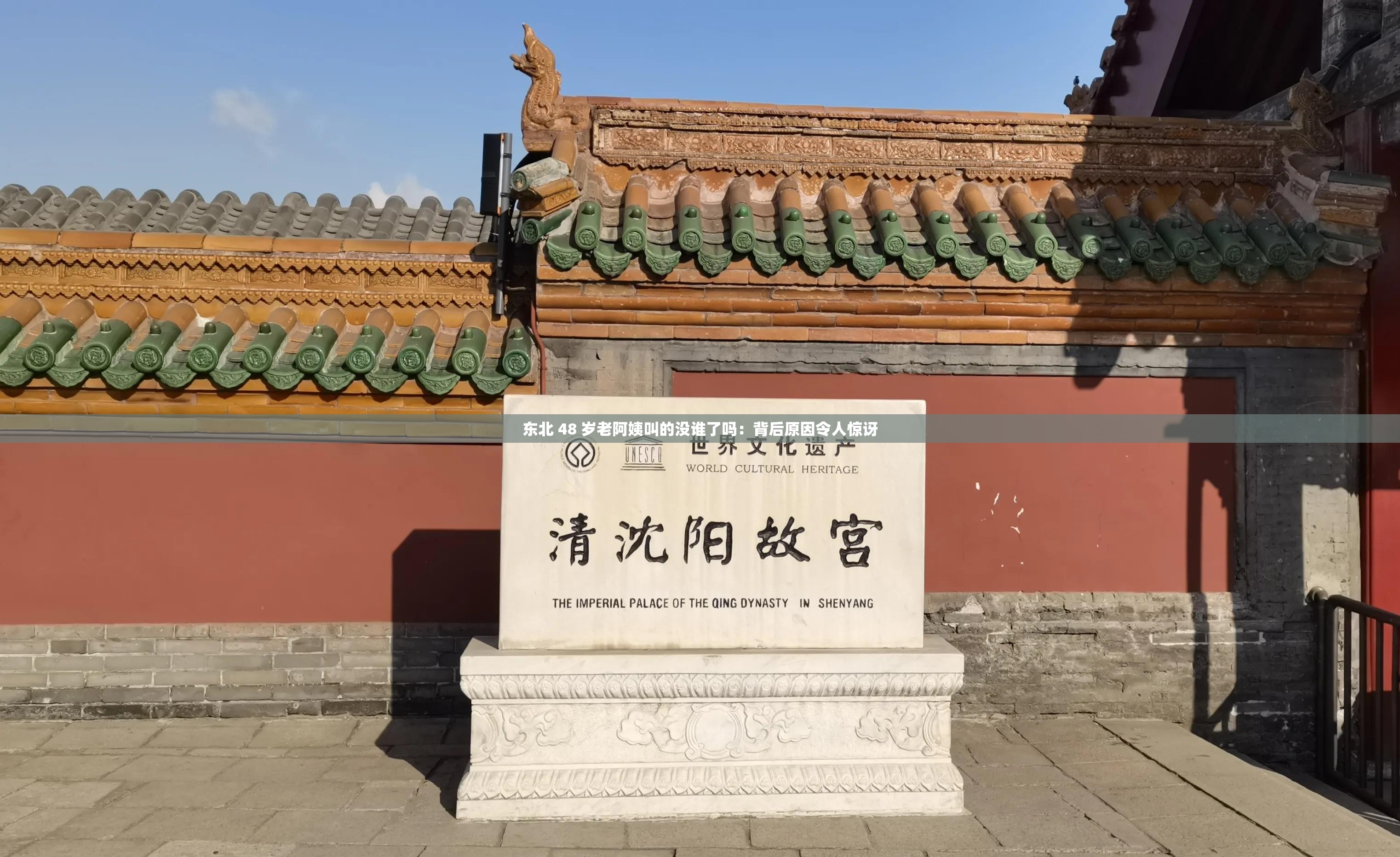东北 48 岁老阿姨叫的没谁了吗:背后原因令人惊讶 东北 48 岁老阿姨叫的没谁了吗:背后原因令人惊讶