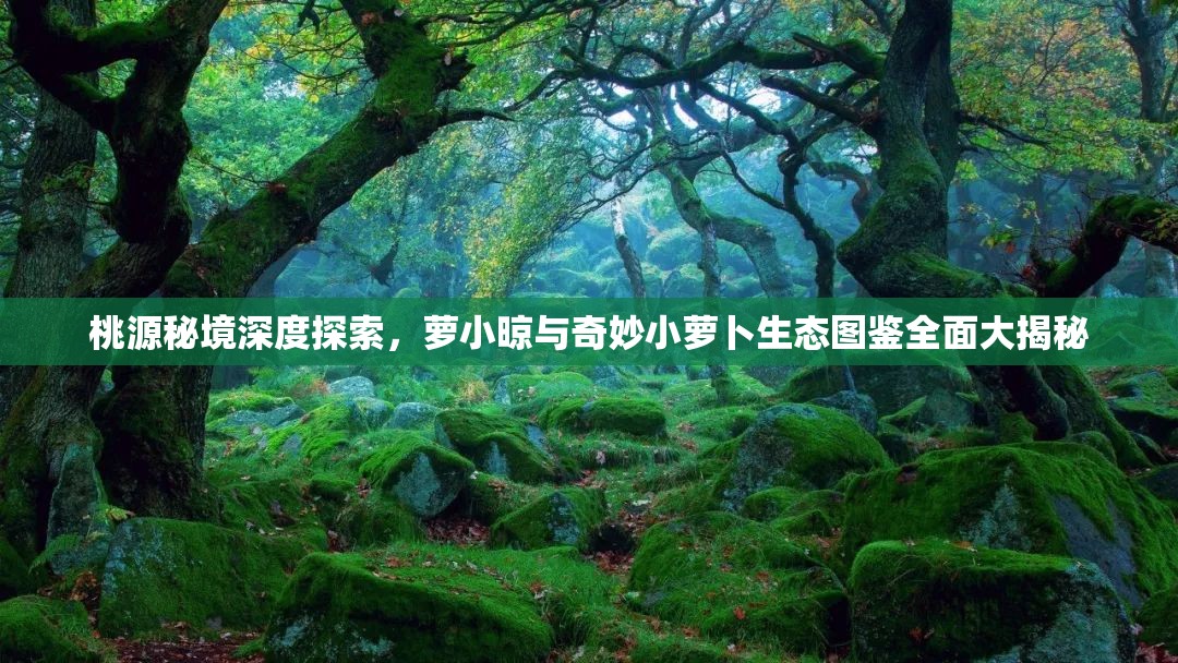 妗冩簮绉樺娣卞害鎺㈢储锛岃悵灏忔櫨涓庡濡欏皬钀濆崪鐢熸€佸浘閴村叏闈㈠ぇ鎻