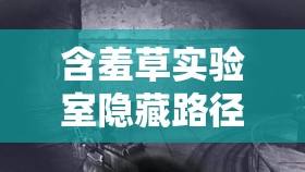 含羞草实验室隐藏路径 2024:探索未知的科学秘境 含羞草实验室隐藏路径 2024:探索未知的科学秘境