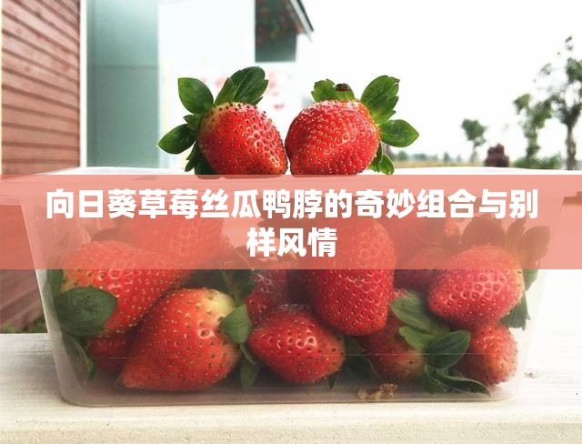 向日葵草莓丝瓜鸭脖的奇妙组合与别样风情 向日葵草莓丝瓜鸭脖的奇妙组合与别样风情