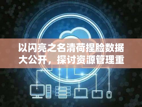 以闪亮之名清荷捏脸数据大公开,探讨资源管理重要性及高效利用实战策略 以闪亮之名清荷捏脸数据大公开,探讨资源管理重要性及高效利用实战策略