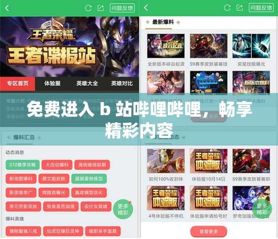 免费进入 b 站哔哩哔哩,畅享精彩内容 免费进入 b 站哔哩哔哩,畅享精彩内容
