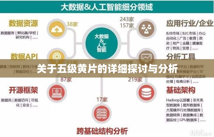 关于五级黄 片的详细探讨与分析