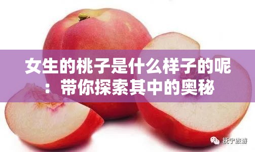 女生的桃子是什么样子的呢:带你探索其中的奥秘 女生的桃子是什么样子的呢:带你探索其中的奥秘
