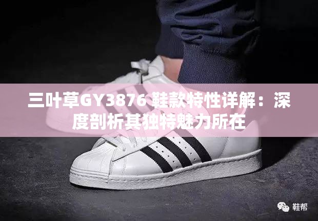 三叶草GY3876 鞋款特性详解:深度剖析其独特魅力所在 三叶草GY3876 鞋款特性详解:深度剖析其独特魅力所在
