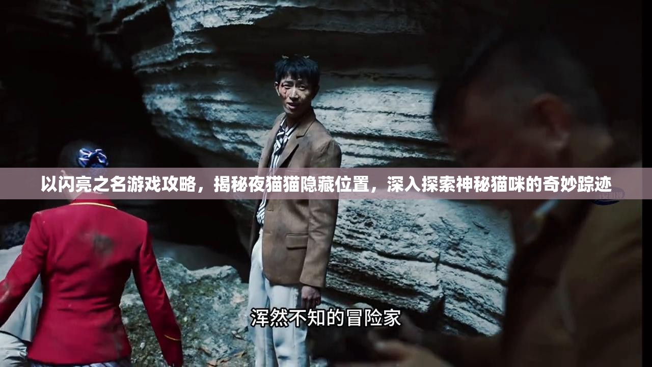 以闪亮之名游戏攻略,揭秘夜猫猫隐藏位置,深入探索神秘猫咪的奇妙踪迹 以闪亮之名游戏攻略,揭秘夜猫猫隐藏位置,深入探索神秘猫咪的奇妙踪迹