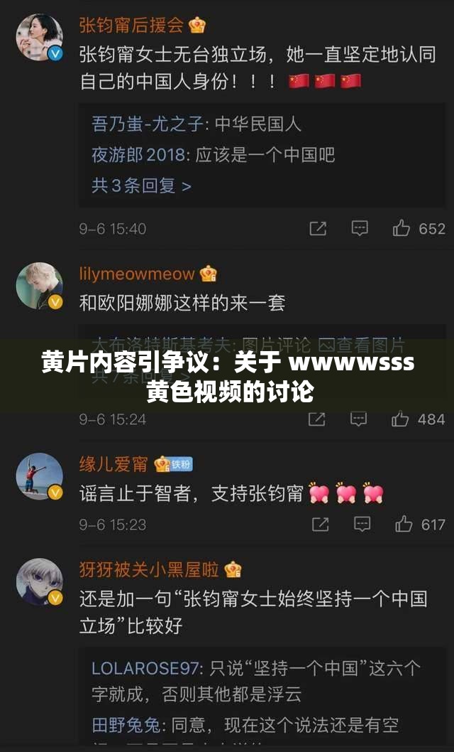 黄 片内容引争议：关于 wwwwsss 璜铯视频的讨论