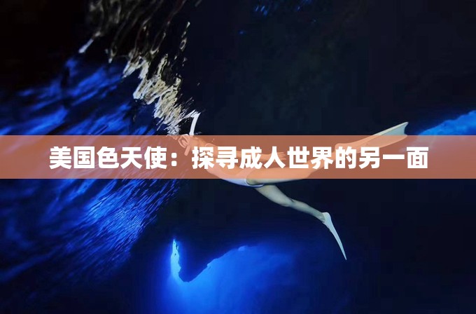 美国色天使：探寻成年人世界的另一面