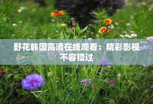 野花韩国高清在线观看:精彩影视不容错过 野花韩国高清在线观看:精彩影视不容错过