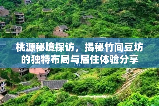 桃源秘境探访,揭秘竹间豆坊的独特布局与居住体验分享 桃源秘境探访,揭秘竹间豆坊的独特布局与居住体验分享