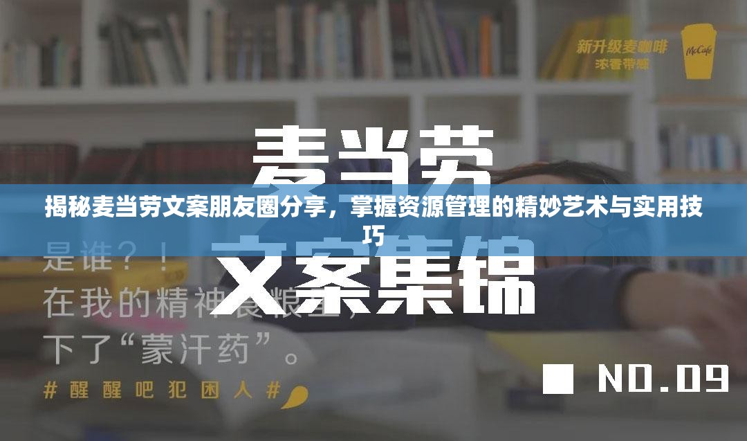 揭秘麦当劳文案朋友圈分享,掌握资源管理的精妙艺术与实用技巧 揭秘麦当劳文案朋友圈分享,掌握资源管理的精妙艺术与实用技巧