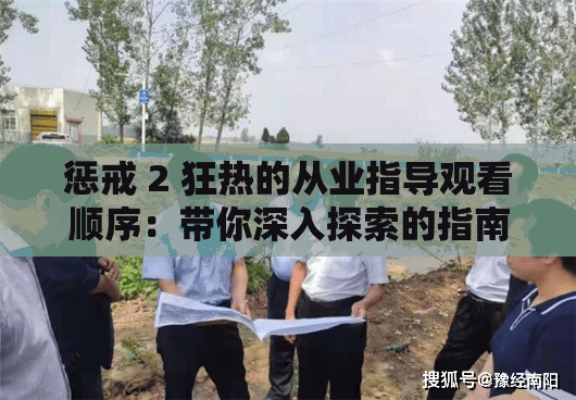 惩戒 2 狂热的从业指导观看顺序：带你深入探索的指南