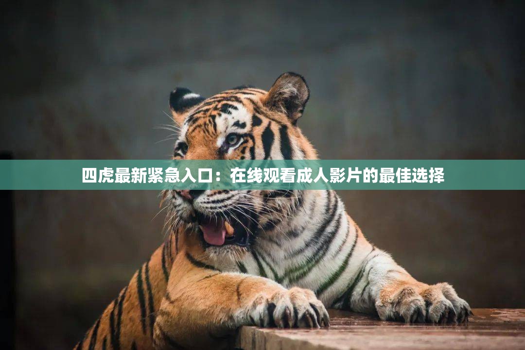 四虎最新紧急入口：在线观看成年人影片的最佳选择