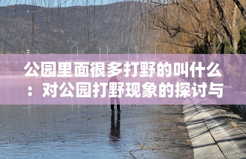 公园里面很多打野的叫什么:对公园打野现象的探讨与分析 公园里面很多打野的叫什么:对公园打野现象的探讨与分析