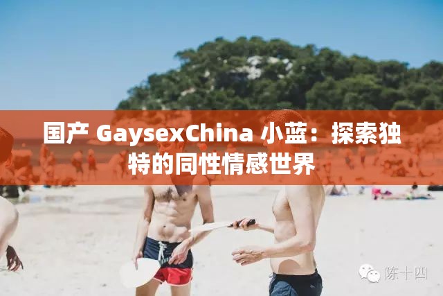 国产 GaysexChina 小蓝:探索独特的同性情感世界 国产 GaysexChina 小蓝:探索独特的同性情感世界