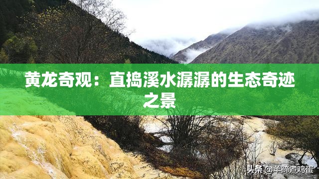 黄龙奇观:直捣溪水潺潺的生态奇迹之景 黄龙奇观:直捣溪水潺潺的生态奇迹之景