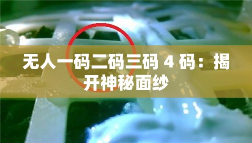 无人一码二码三码 4 码:揭开神秘面纱 无人一码二码三码 4 码:揭开神秘面纱