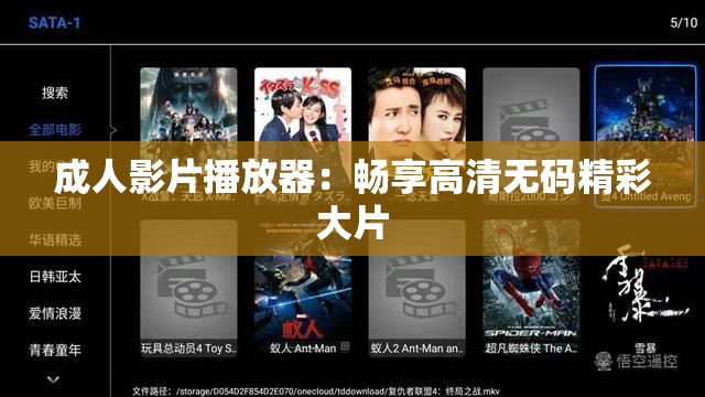 成年人影片播放器：畅享高清无码精彩大片