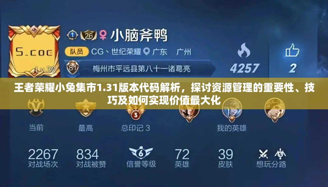 王者荣耀小兔集市1.31版本代码解析,探讨资源管理的重要性、技巧及如何实现价值最大化 王者荣耀小兔集市1.31版本代码解析,探讨资源管理的重要性、技巧及如何实现价值最大化