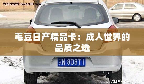 毛豆日产精品卡：成年人世界的品质之选