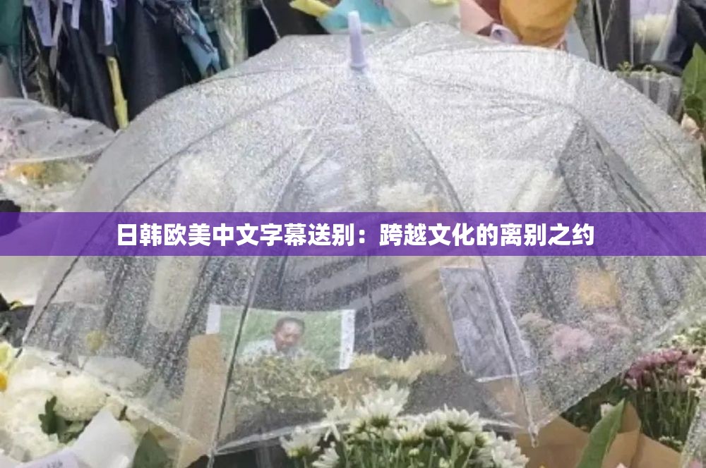 日韩欧美中文字幕送别:跨越文化的离别之约 日韩欧美中文字幕送别:跨越文化的离别之约
