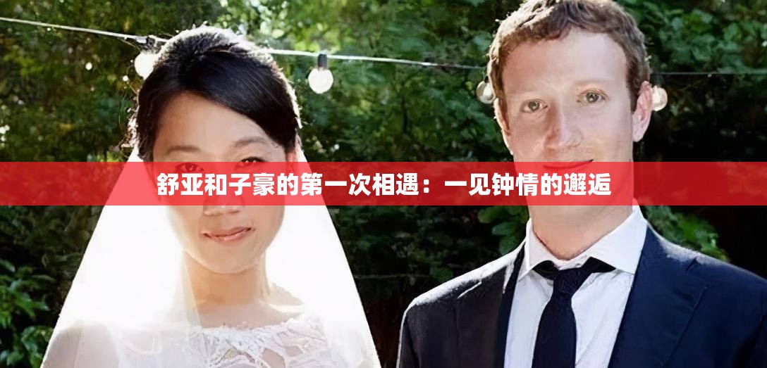 舒亚和子豪的第一次相遇:一见钟情的邂逅 舒亚和子豪的第一次相遇:一见钟情的邂逅