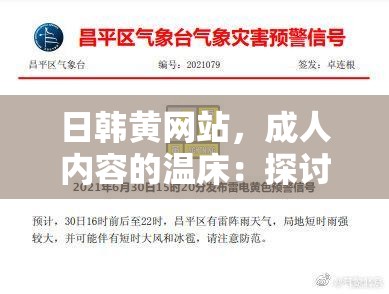 日韩黄网站，成年人内容的温床：探讨其对社会的负面影响