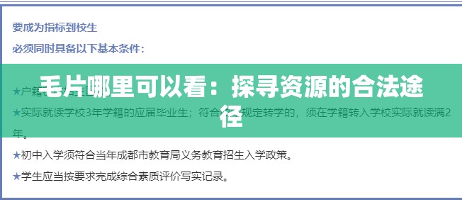 髦片哪里可以看：探寻资源的合法途径
