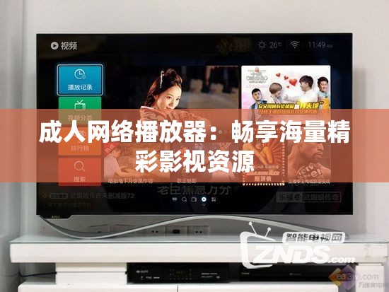 成年人网络播放器：畅享海量精彩影视资源