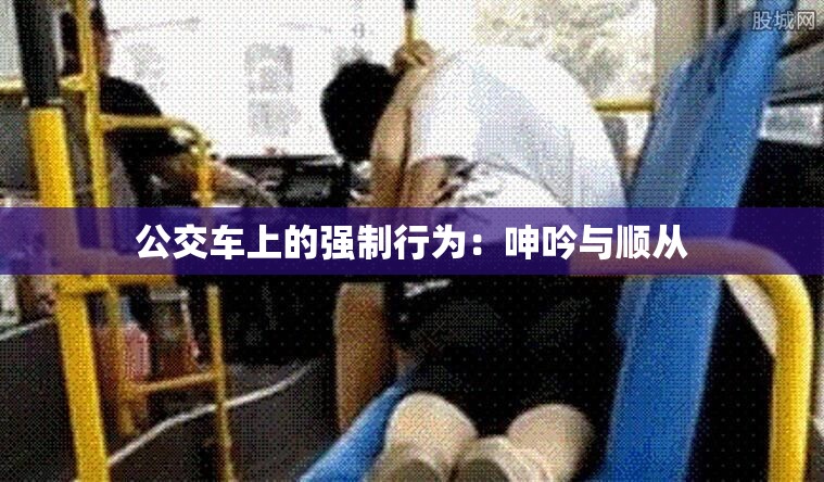 公交车上的强制行为:呻吟与顺从 公交车上的强制行为:呻吟与顺从