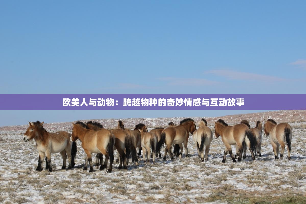 欧美人与动物:跨越物种的奇妙情感与互动故事 欧美人与动物:跨越物种的奇妙情感与互动故事