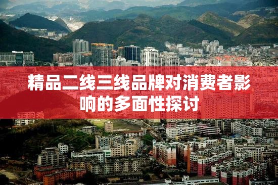 精品二线三线品牌对消费者影响的多面性探讨 精品二线三线品牌对消费者影响的多面性探讨