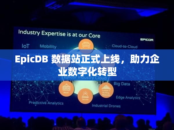 EpicDB 数据站正式上线,助力企业数字化转型 EpicDB 数据站正式上线,助力企业数字化转型