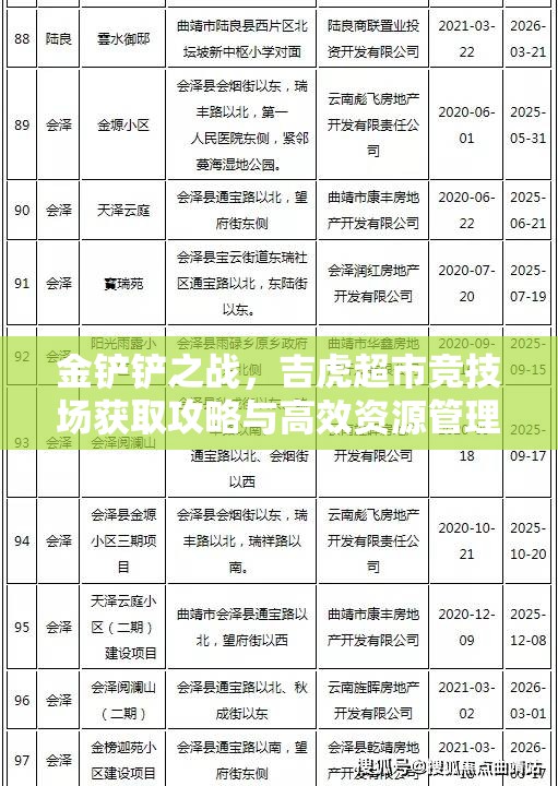 金铲铲之战,吉虎超市竞技场获取攻略与高效资源管理策略详解 金铲铲之战,吉虎超市竞技场获取攻略与高效资源管理策略详解